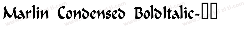 Marlin Condensed BoldItalic字体转换
